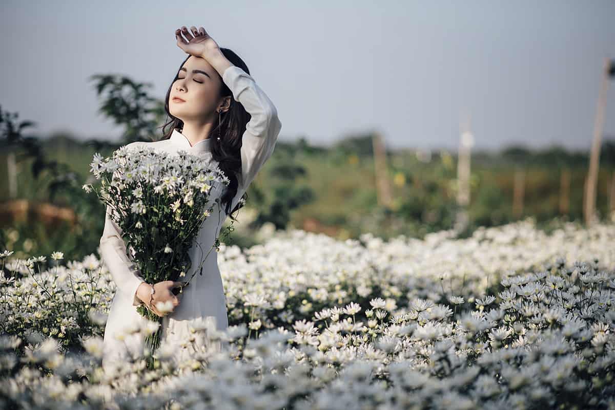 5 địa điểm chụp ảnh || cho mùa hoa cúc họa mi Hà Nội